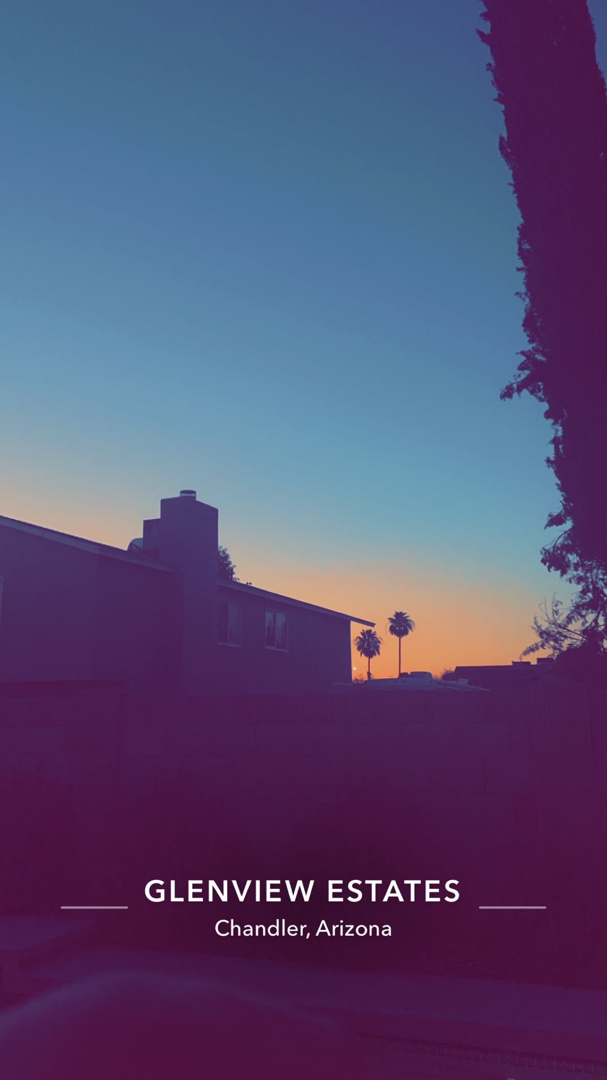Robert's photograph of an Arizona sunset and palm trees